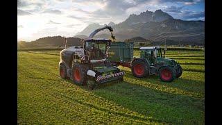 Gras Silage mit Burghartswieser