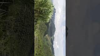 Mèo Vạc Hà Giang