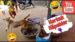 KORKAK KÖPEKLER 4 Komik Videolar  - Funny and Fun Dog Jokes