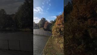 Watch till the end! Time-Lapse of Seasonal Change #winter #season #nature