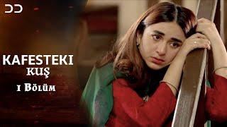 Bird in Cage | Kafesteki Kuş | 1 Bölüm | Episode 01 | Pakistan Dizileri | CZ1O