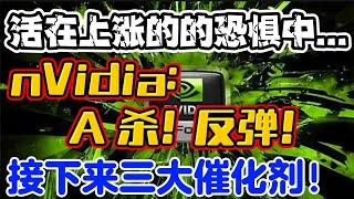 活在上涨的的恐惧中...nVidia：A 杀！反弹！接下来三大催化剂！