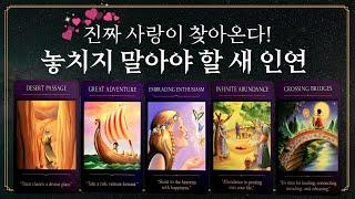 [타로] 앞으로 만나게 될 새 인연! 놓치지 마세요!