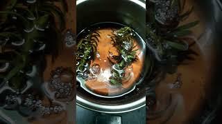 Rosemary Water for hair growth #explore#trending #viral#ytshorts#asmr #skincare#rosemary #haircare