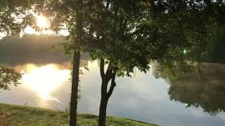 Huntersville Morning Ducks