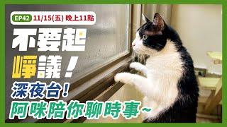 不要起崢議 EP42｜11點深夜台！阿咪當家！#吳崢 #直播 #貓 #cat