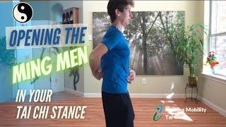 Opening the Ming Men Point; Life Gate in your Tai Chi Stance #mingmen #taichistance #posture