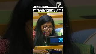 “It is ridiculous…” India shames Pakistan at UN, exposes PM Shehbaz Sharif’s ‘Kashmir’ Rant