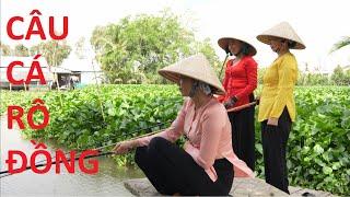 1521 / Câu cá rô đồng điểm câu lý tưởng