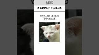 진짜 집부터 사야함