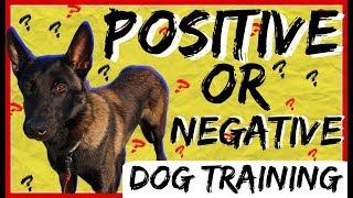 Should I use Positive or Negative Dog Training? Positive Punishment?