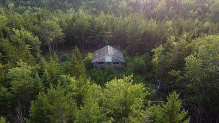 We Bought An OFF-GRID CABIN In The Woods UNSEEN | ASMR