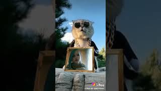 Алина малина
