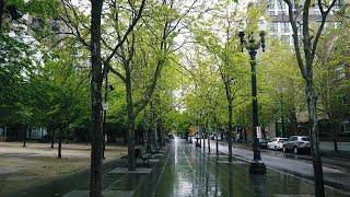 Pearl District Portland, OR during Pandemic 4K Street Walking Tour in the Rain 2020