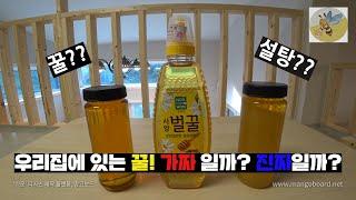 진짜꿀?가짜꿀? 어떤 꿀이 진짜일까?! 알면 유용한 꿀구분법(feat.꿀나눔이벤트) (eng)