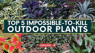 Top 5 Impossible to Kill Outdoor Plants  // Gardening Tips