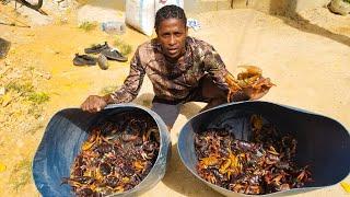 100 + black crab catch N cook with friends out doors jamaican style