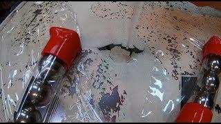 Pinballorama #15 - Fixing severe pinball backglass flaking