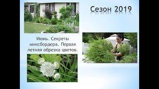 Секреты создания миксбордера  Первая летняя обрезка цветов