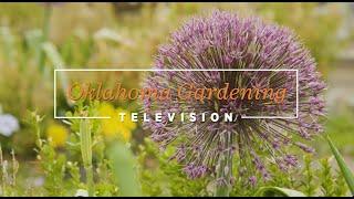 Oklahoma Gardening May 27, 2023