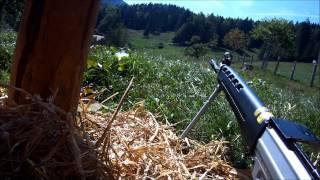 Traditional Swiss Shooting