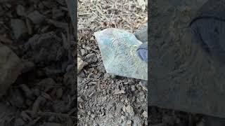 Metal Detecting OAKLAND Chasing High Tones!! #corythetreasurehunter #metaldetecting #treasure