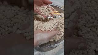 Качана каша (крупки) страва Української кухні Полтавського району.