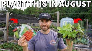 33 AWESOME VEGGIES You Should Plant In August RIGHT NOW!