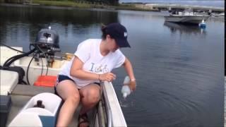 Nutrient monitoring on Buzzards Bay