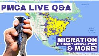 PMCA Live Q&A #2