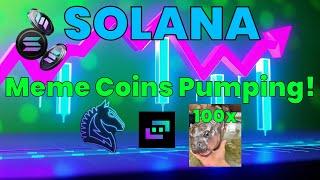 Solana Meme Coins Pumping! Moodeng 100X | Copy Trading | New Zelfiguru & Trojan Bot Settings | SOL