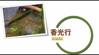 【在一天的開始_創作佛曲專輯】香光行