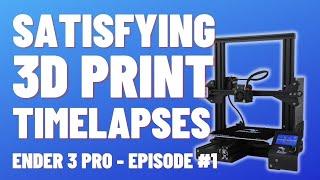 Satisfying 3D Print Octoprint - Satisfying 3D Prints Timelapse Episode 1 (Ender 3 Pro / Octopi)
