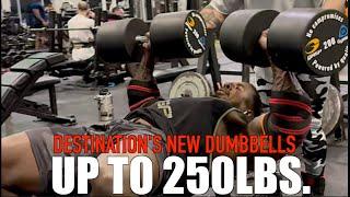 Destination's New Dumbbells Up To 250 | GYMLECO X GASP