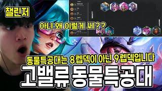 【롤토체스 강의】동물특공대는 9렙 덱입니다..챌린저의 패스트 9렙 고밸류 동특덱