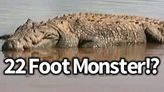 Giant Crocodile Spotted in Africa