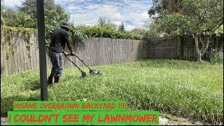 Mowing an Insane Overgrown Yard For FREE