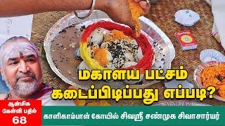 செய்யும் தர்ப்பணம் பித்ருக்களை சேர்க்கிறதா? | Mahalaya Patcham 2024 |  சிவஶ்ரீ சண்முக சிவாசார்யர்