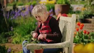 Spring Gardening with Carol KleinEpisode 4