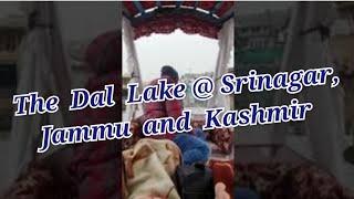 The Dal Lake at Srinagar, Jammu & Kashmir, India.