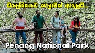 බලහත්කාරෙන් එක්කන් ගිය කැලෑ ගමන | Penang National Park | Malaysia - VLOG 316