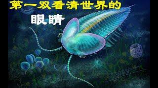 第一双看清世界的眼睛（一起穿越寒武纪之四）Cambrian cindarella, Ctenophores,wapitidae,Facivermis.