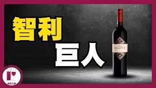 【必看】徹底改變歷史的巨人- Viñedo Chadwick (粵語中字)【酒瓶故事】