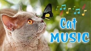 5 HOURS of Soothing Music for Cats to Relax (EXPERT MADE) Soothing music for cats 