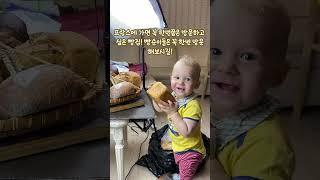 "프랑스 빵 이야기: 전 세계가 인정한 빵집들의 맛과 이야기!"