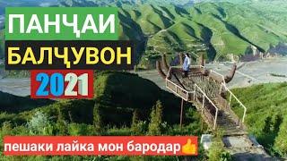 ПАНЧАИ БАЛЧУВОН 2021-Охбулок #Табиати зебо и балчувон#кишлок#