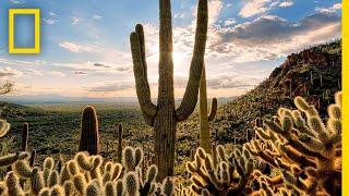 Deserts 101 | National Geographic