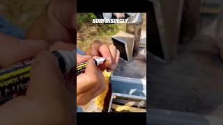 He Marked Two Queen Bees… But What He Found Later Was Shocking!  #shorts