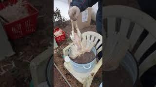 Перосъемная машина