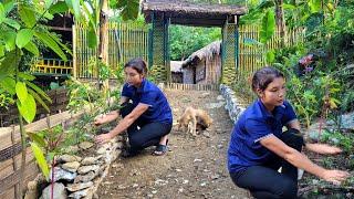 How to make vegetable garden and flower garden around the farm  - Lý Lưu Linh